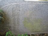 image of grave number 540530